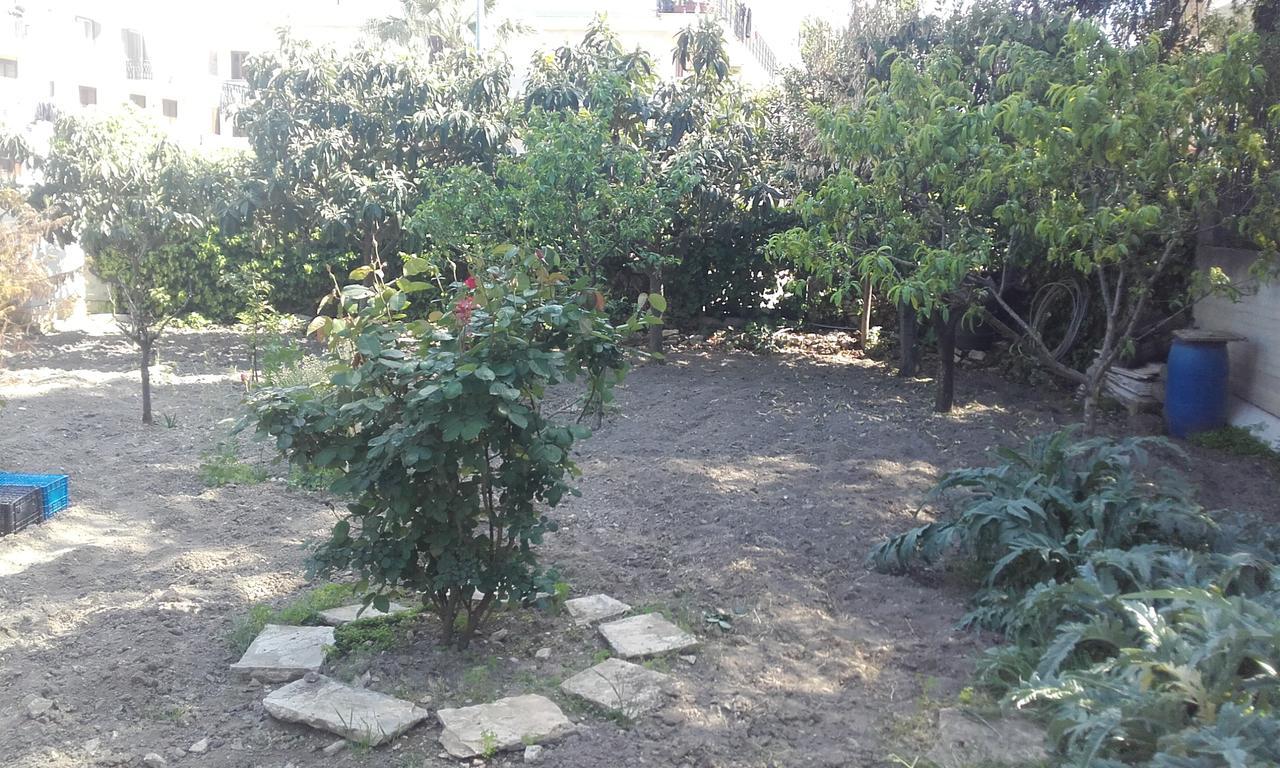 B&B La Palma Ruvo di Puglia Eksteriør billede